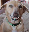 Lady Underbite